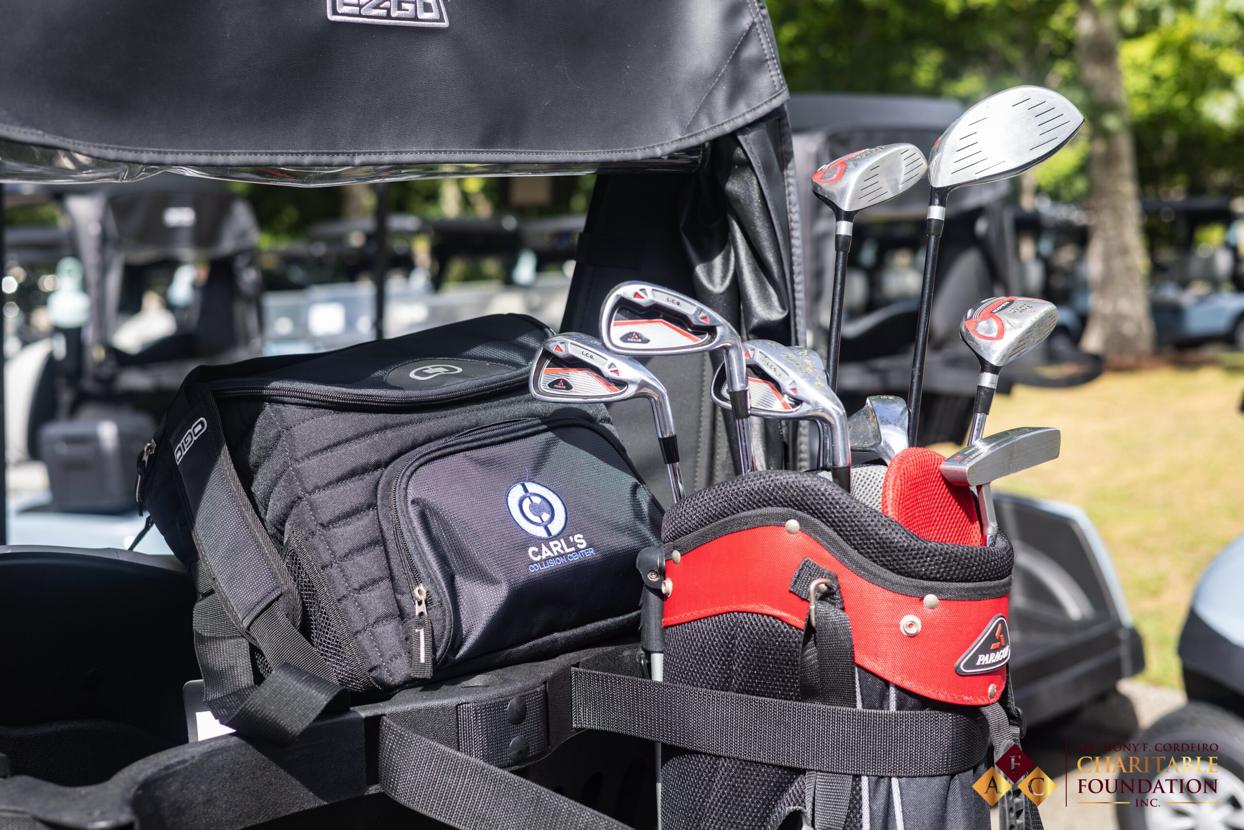 Golf cart fleet