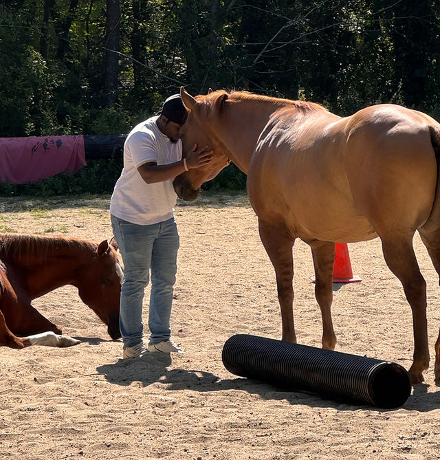 Medicine Horse